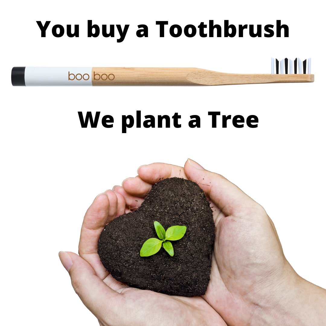 Bamboo Toothbrush - eeco
