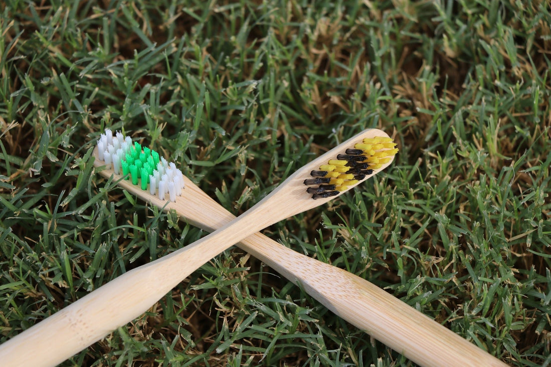 Can you compost bamboo toothbrush? - eeco